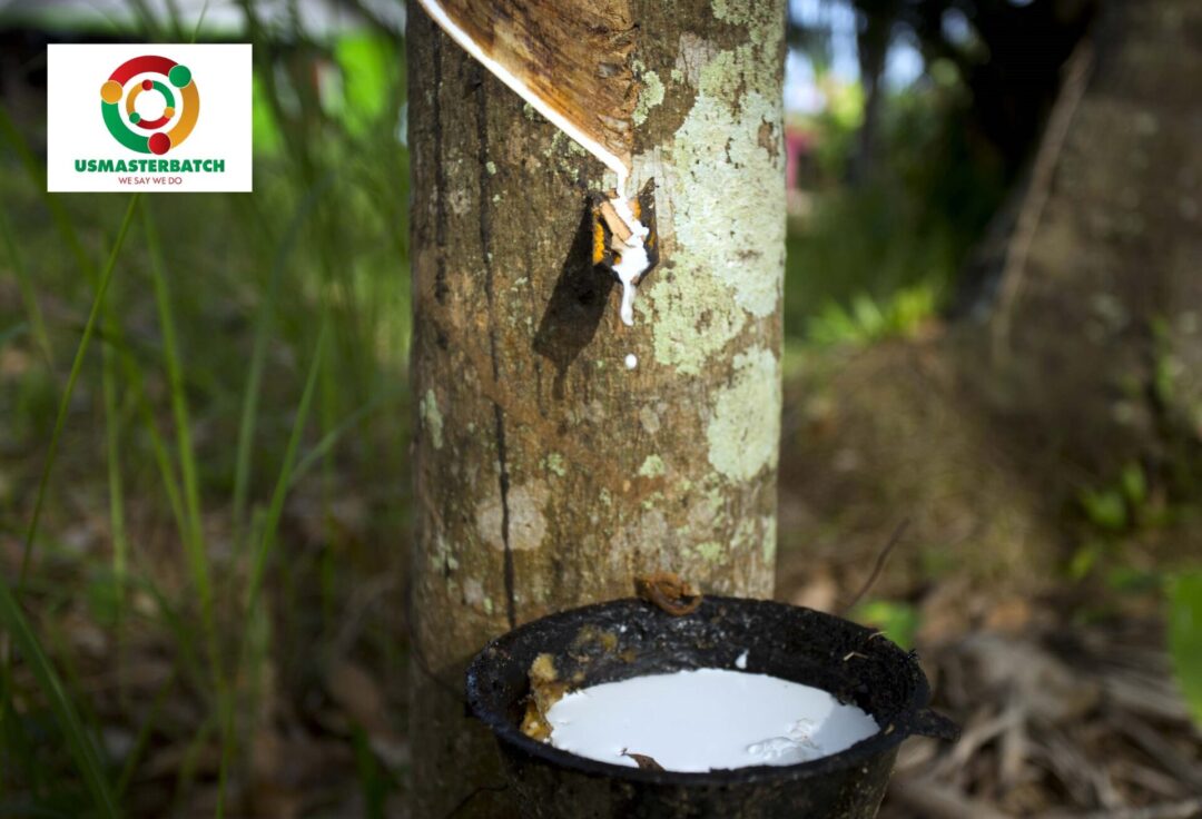 Thailand - Top Agricultural Product Exporting Countries in Southeast Asia