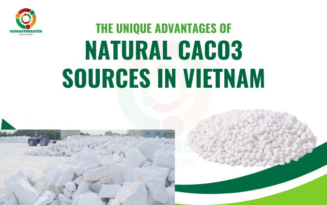The unique advantages of natural CaCO3 sources in Vietnam